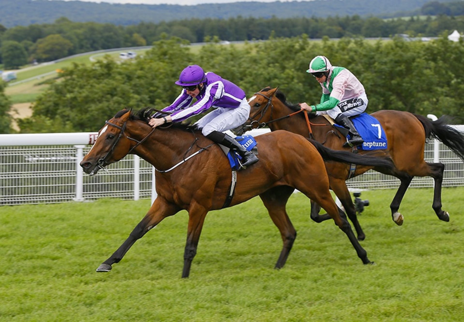 Highland Reel winning the G3 Gordon Stakes at Goodwood