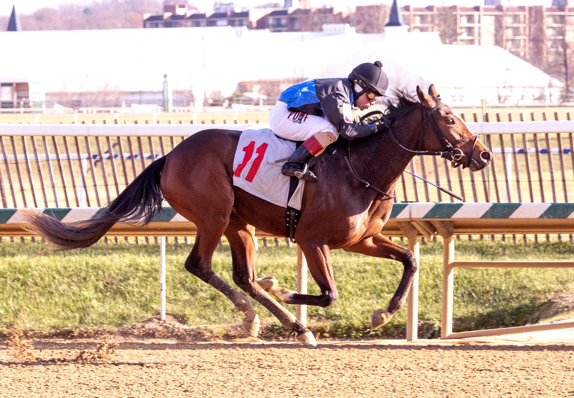 Galactic Tide (Mo Town) Wins Laurel Park Maiden