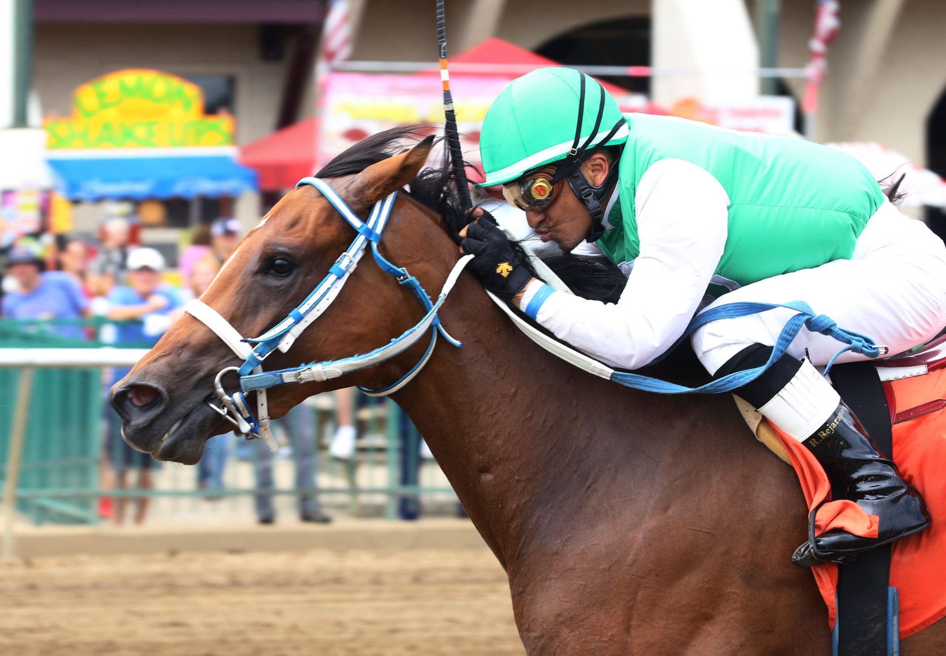 T. K.'s Joker (Practical Joke) winning the Ellis Park Maiden