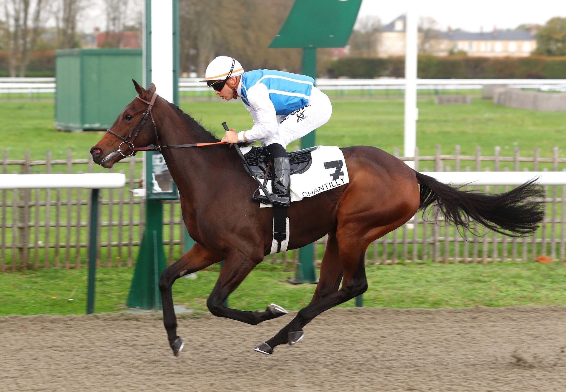 Adeliade (Australia) Wins At Chantilly