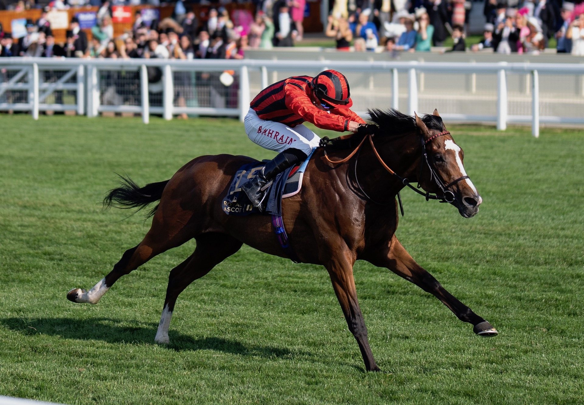 Waipiro (Australia) Wins The Group 3 Hampton Court Stakes at Royal Ascot