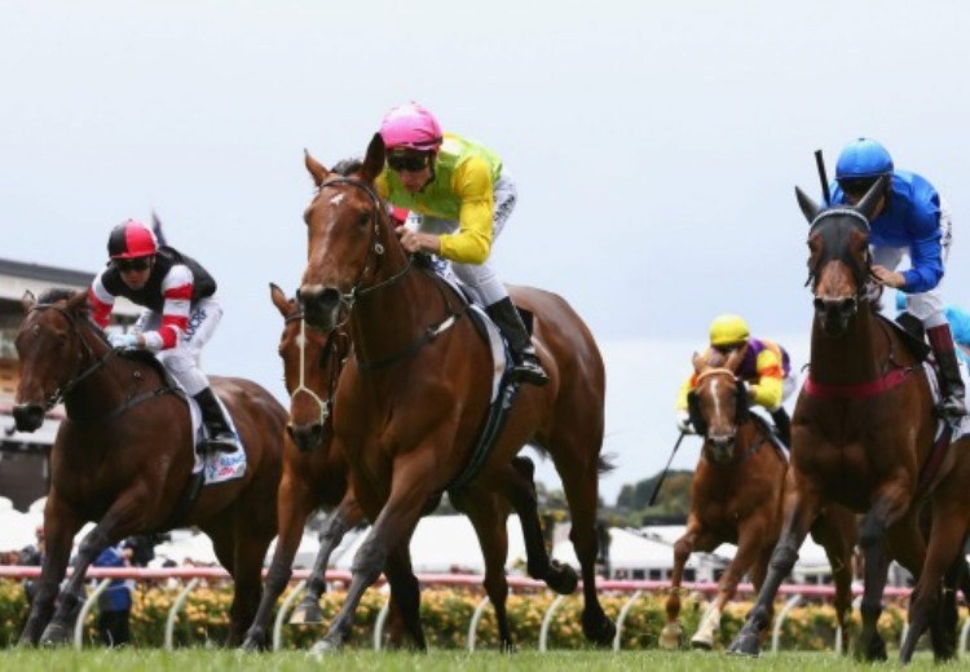 Thunder Lady (Mastercraftsman) winning the G2 VRC Wakeful Stakes