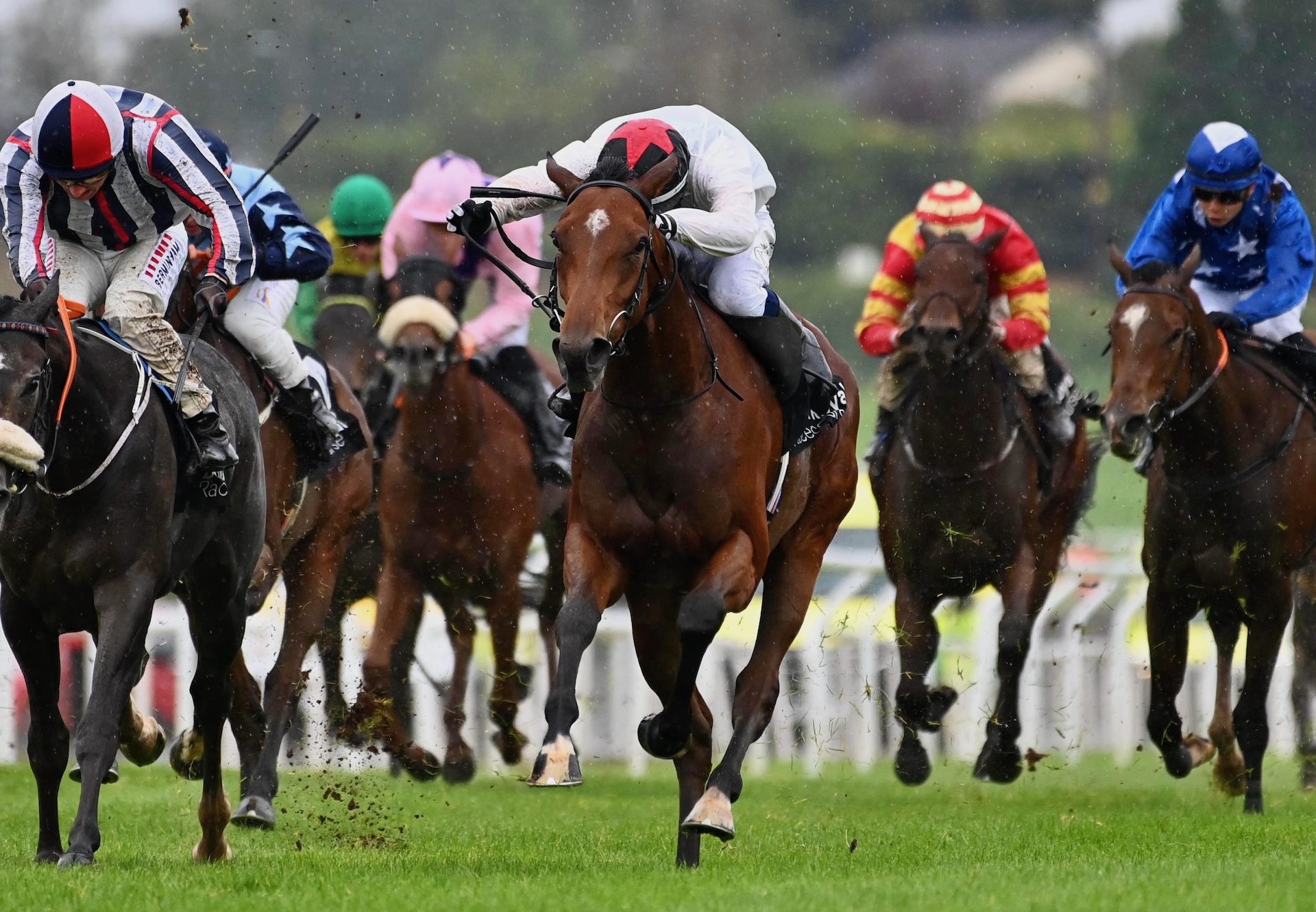 State Of Joy (Starspangledbanner) Wins Her Maiden At Down Royal