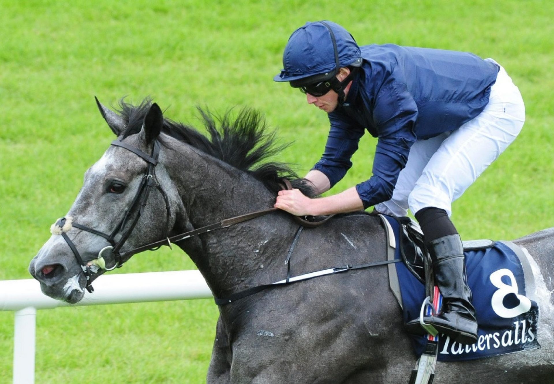 Winter (Galileo) winning the G1 Irish 1,000 Guineas at the Curragh