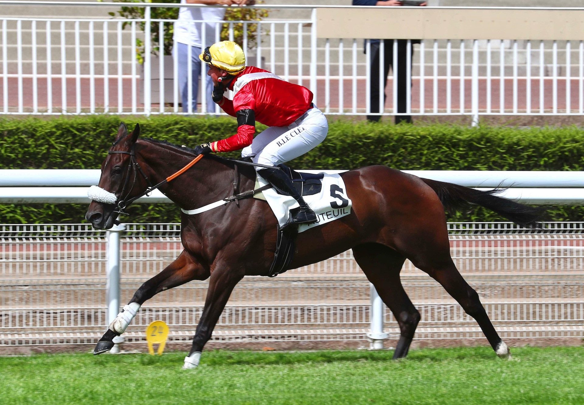 Whymper (Maxios) Wins The Listed Prix Melanos Hurdle at Auteuil