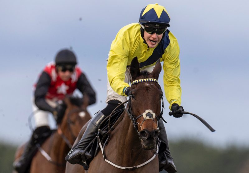 William Munny (Westerner) Makes It Two From Two at Naas