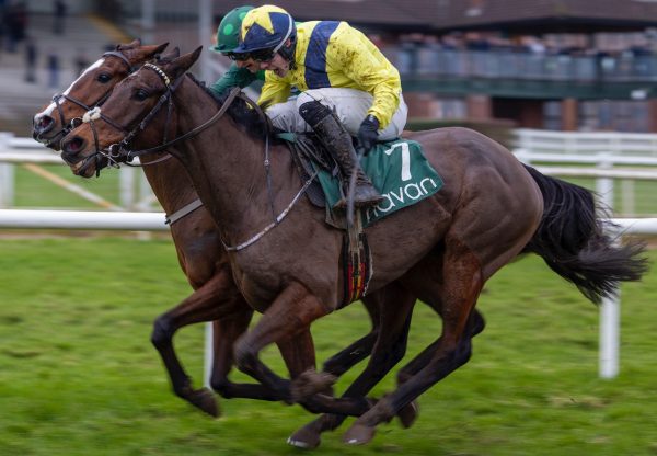 William Munny (Westerner) Wins On Debut at Navan