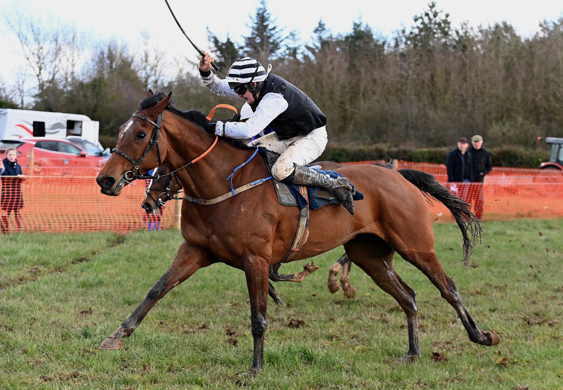 The Big Westerner (Westerner) Makes A Winning Debut At Ballycahane