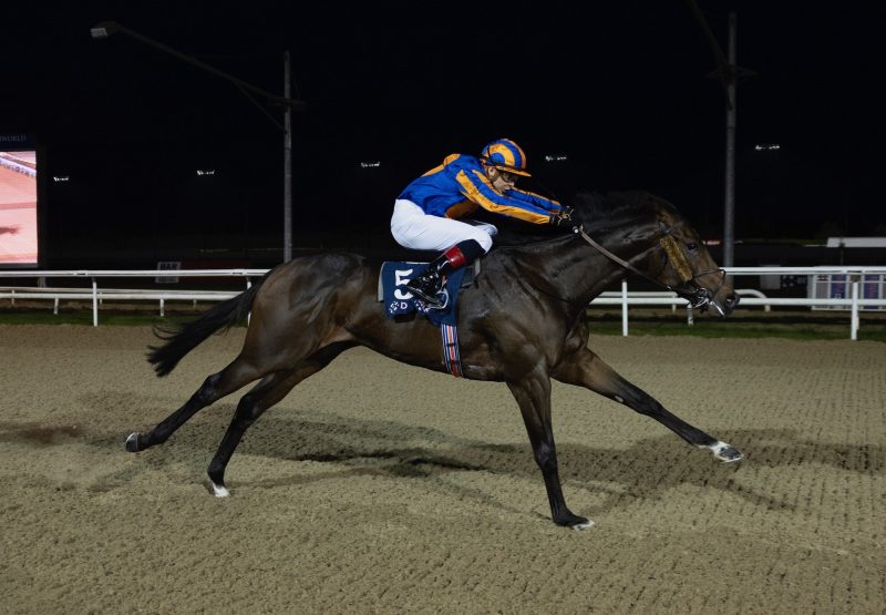 Right And True (Arizona) Wins The Listed Star Appeal Stakes At Dundalk