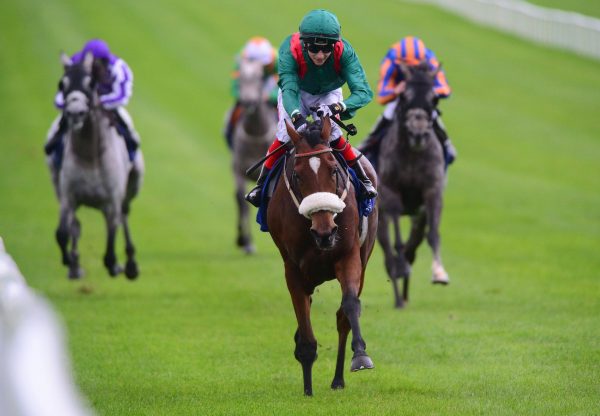 Kastasa (Rock Of Gibraltar) wins the Gr.3 Loughbrown Stakes at the Curragh