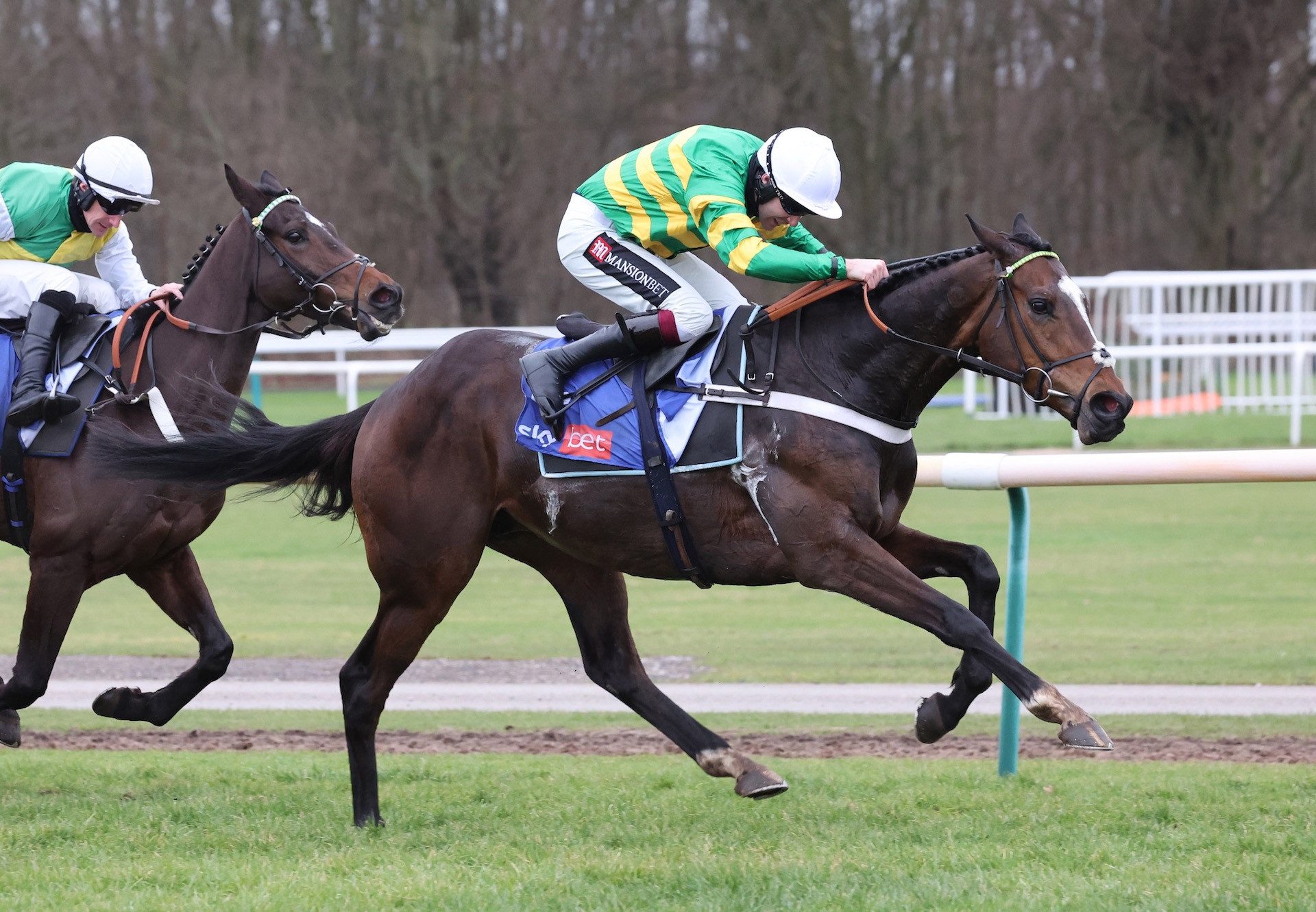 Jonbon (Walk In The Park) Lands The Grade 2 Supreme Trial Novices Hurdle At Haydock