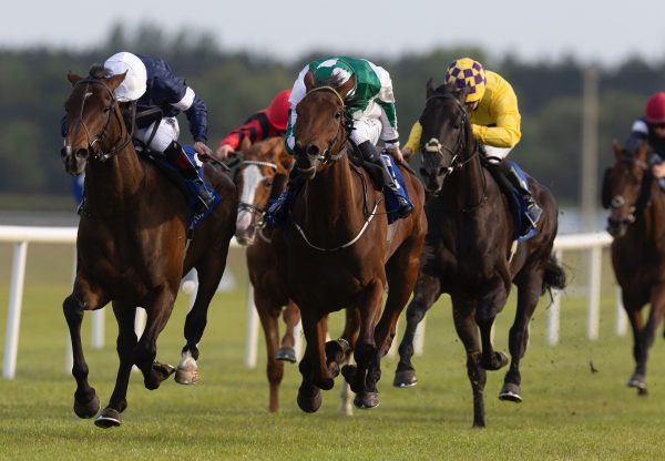 St Vincents Garden (Camelot) Wins His Maiden At Fairyhouse