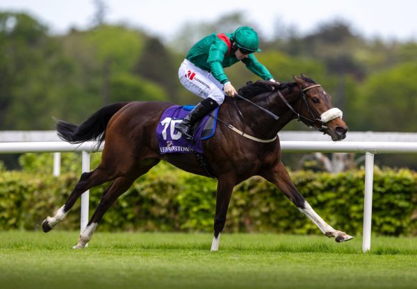 Azazat (Camelot) Wins Her Maiden At Leopardstown