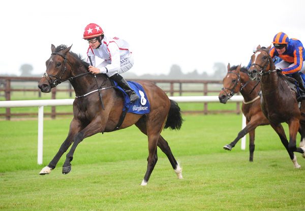 Nope (No Nay Never) winning at Fairyhouse