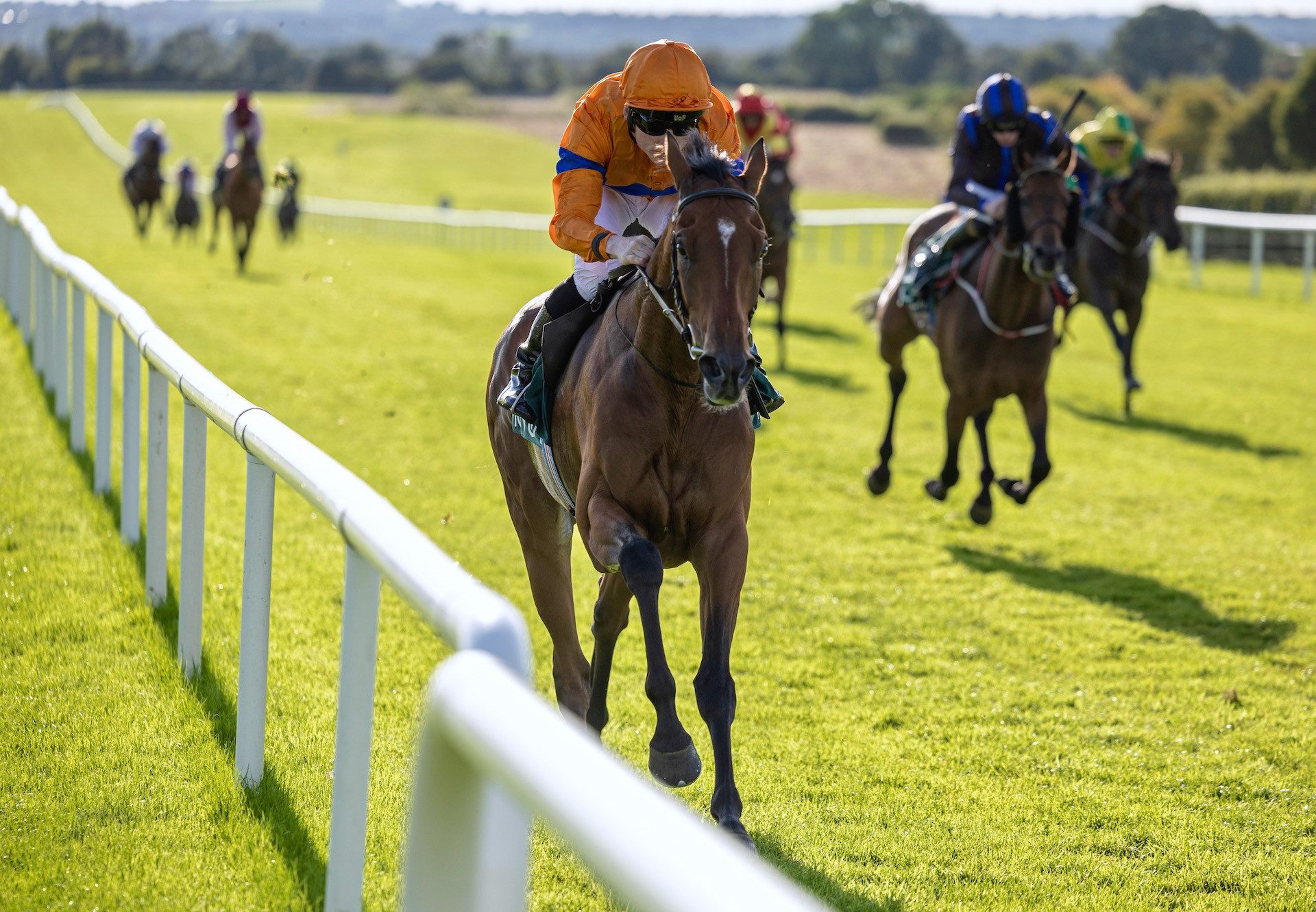 Earth Dance (Australia) Wins His Maiden At Navan