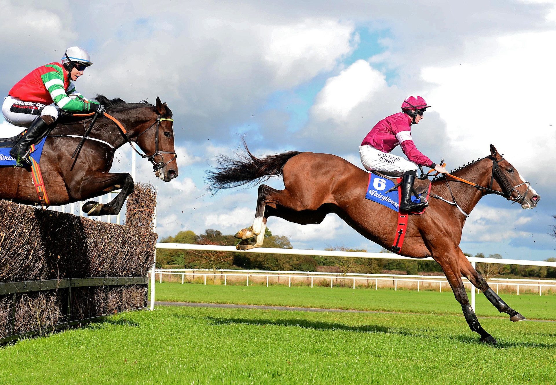 Tintangle (Yeats) winning a beginners chase at Fairyhouse