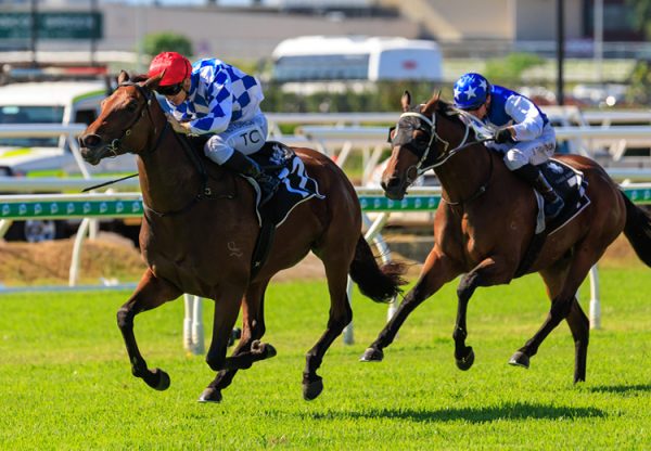 Spendiferous (Pride Of Dubai) wins the Gr.3 Premier's Cup at Eagle Farm