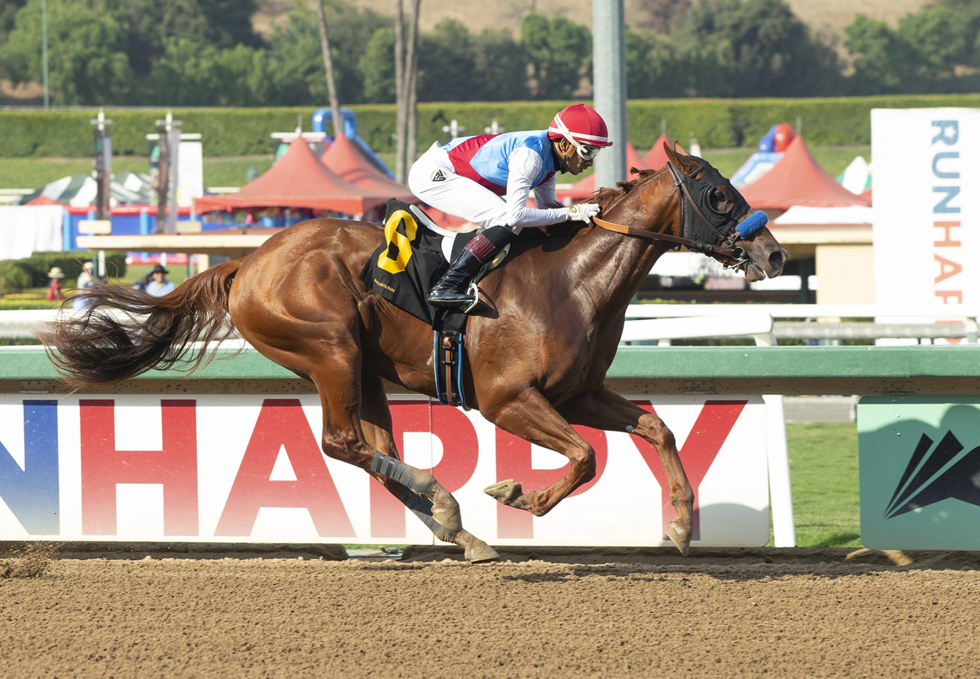 Arabian Lion (Justify) Wins Santa Anita MSW