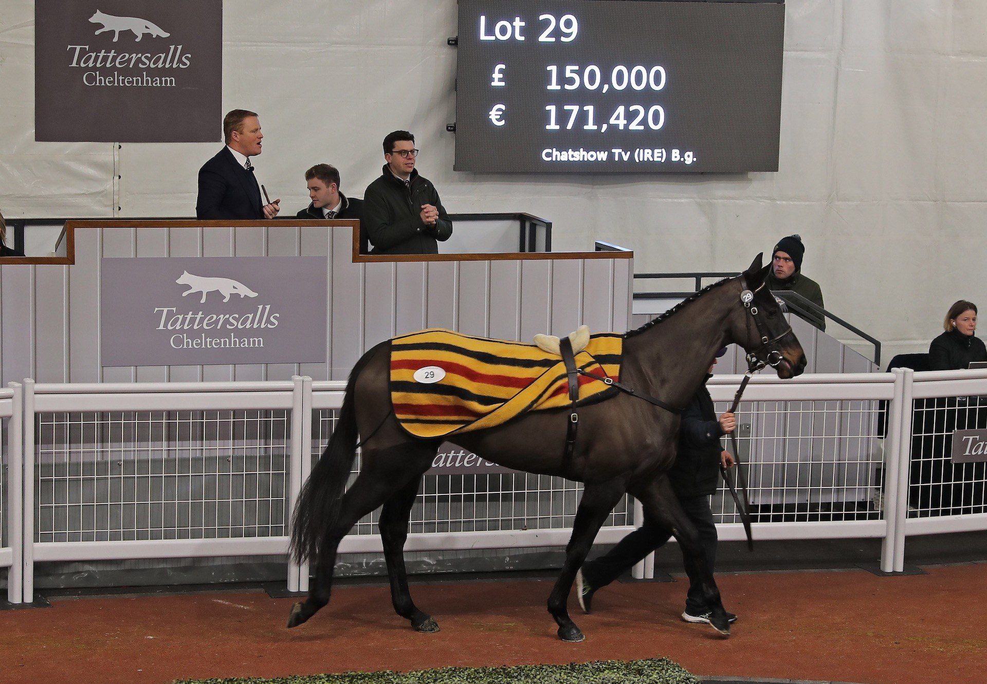 Chatshow TV (Soldier Of Fortune) sells for £150,000 At Tattersalls Cheltenham