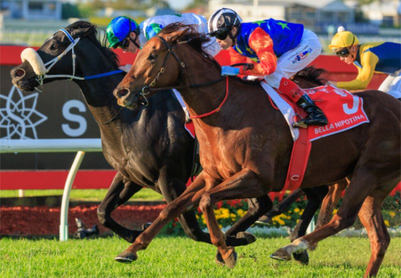 Bella Nipotina (Pride of Dubai) wins at Doomben