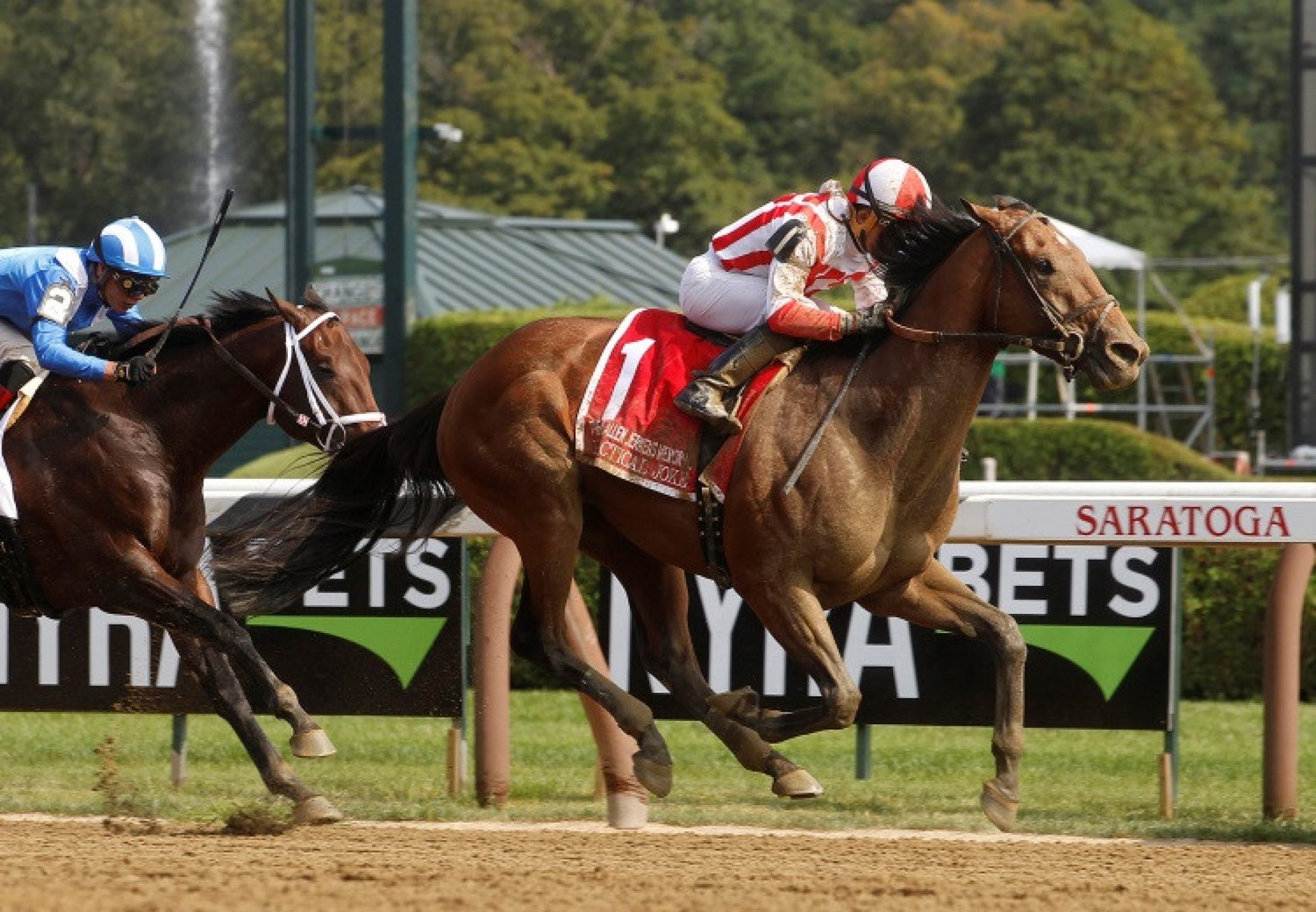 Practical Joke winning the G1 H Allen Jerkens at Saratoga