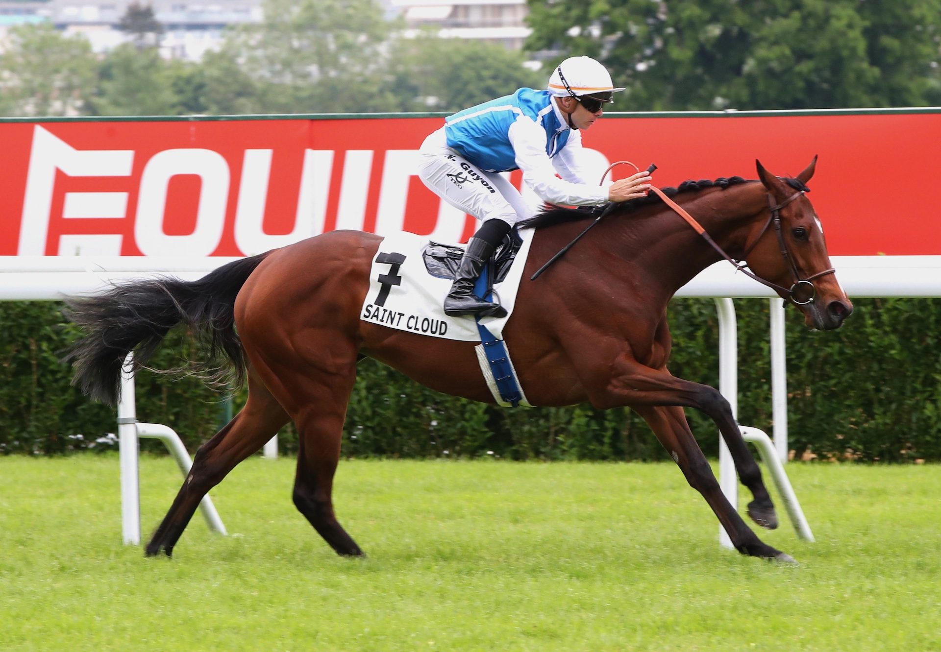 Pensee Du Jour (Camelot) Wins The Group 2 Prix Corrida