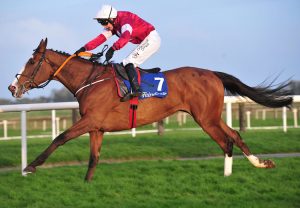 Mossback (Yeats) winning a beginners chase at Naas