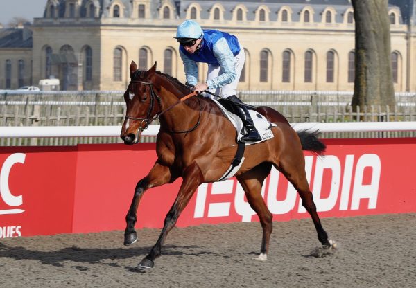 Pensee Du Jour (Camelot) wins her maiden at Chantilly