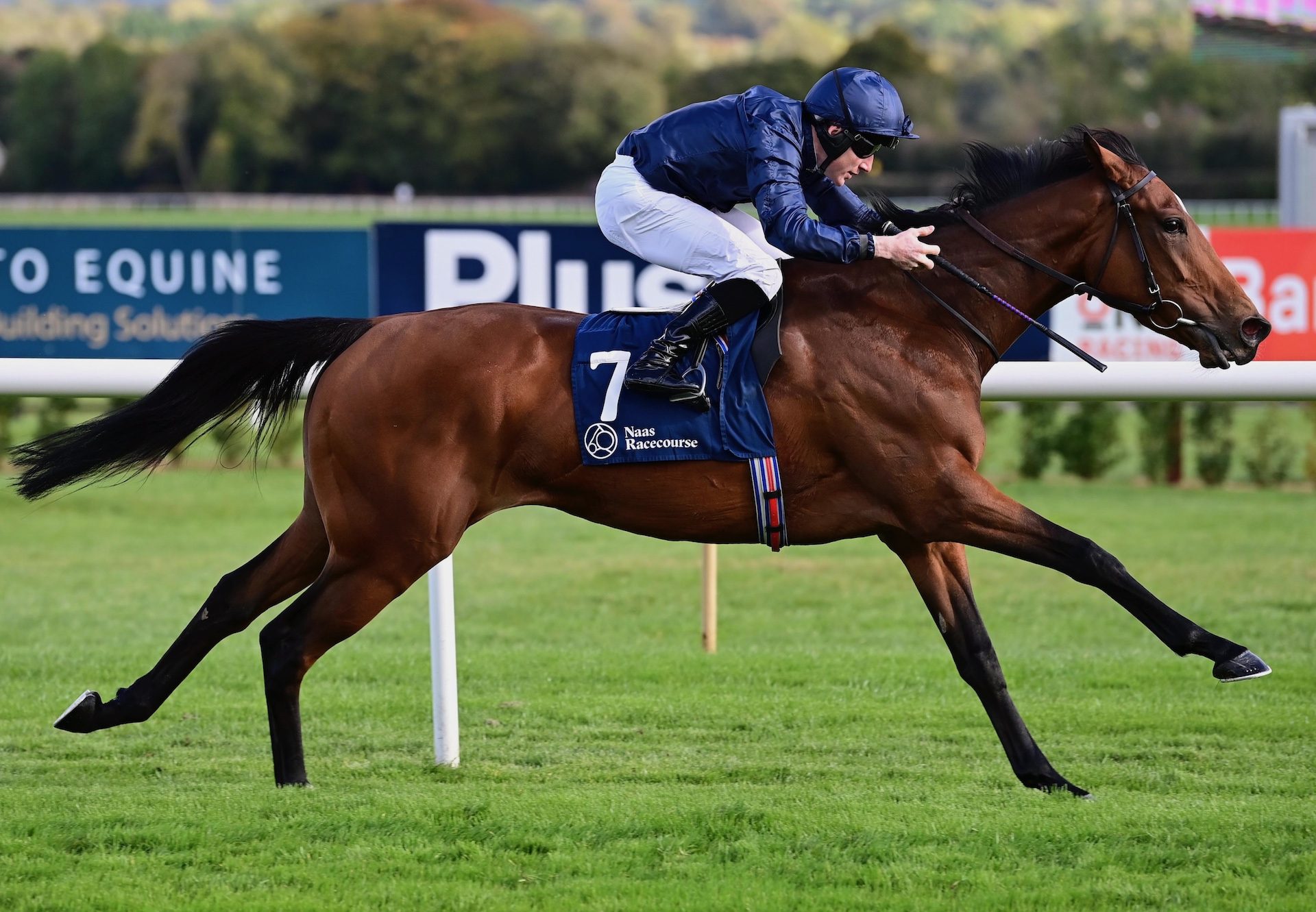 Uncanny(Churchill) Wins Her Maiden At Naas