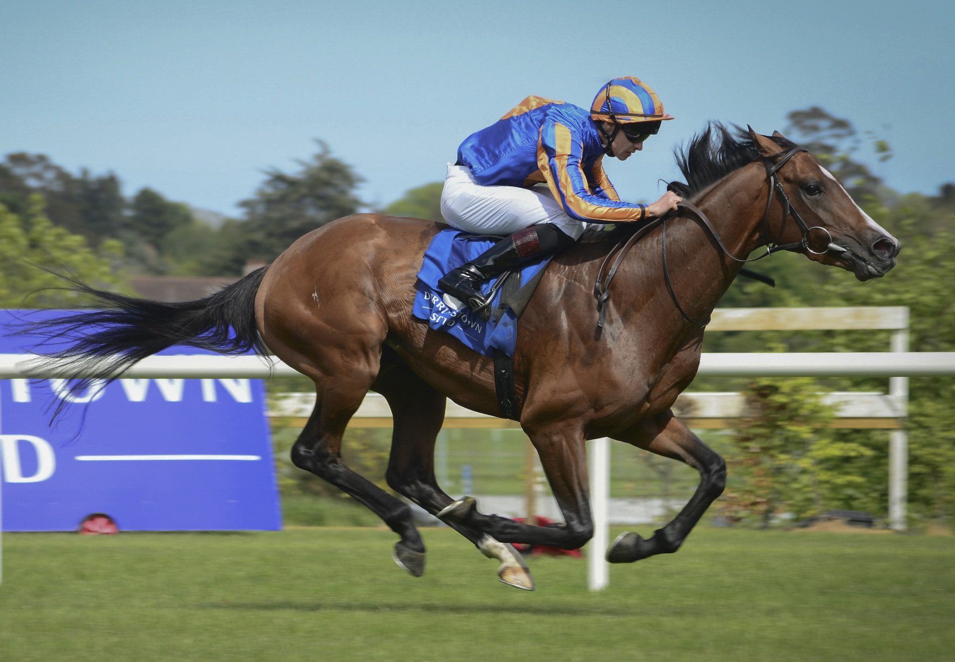 Broome (Australia) Wins The Group 3 Derby Trial At Leopardstown