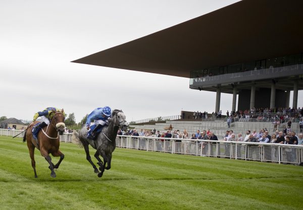 Crafty Madam (Mastercraftsman) Wins At The Curragh