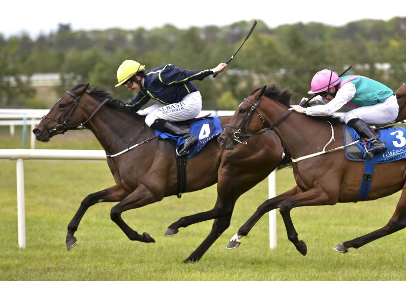 Morpho Blue (Mastercraftsman) Wins At Limerick