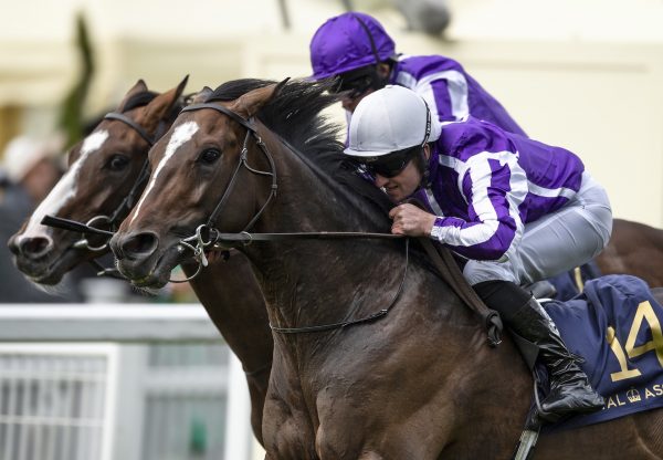 South Pacific (Galileo) Wins The King George V At Royal Ascot