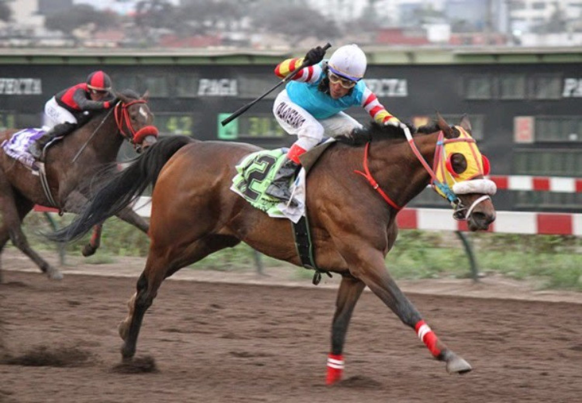 Sand Bijou (Footstepsinthesand) winning the Clasico Enrique Ayulo Pardo in Peru