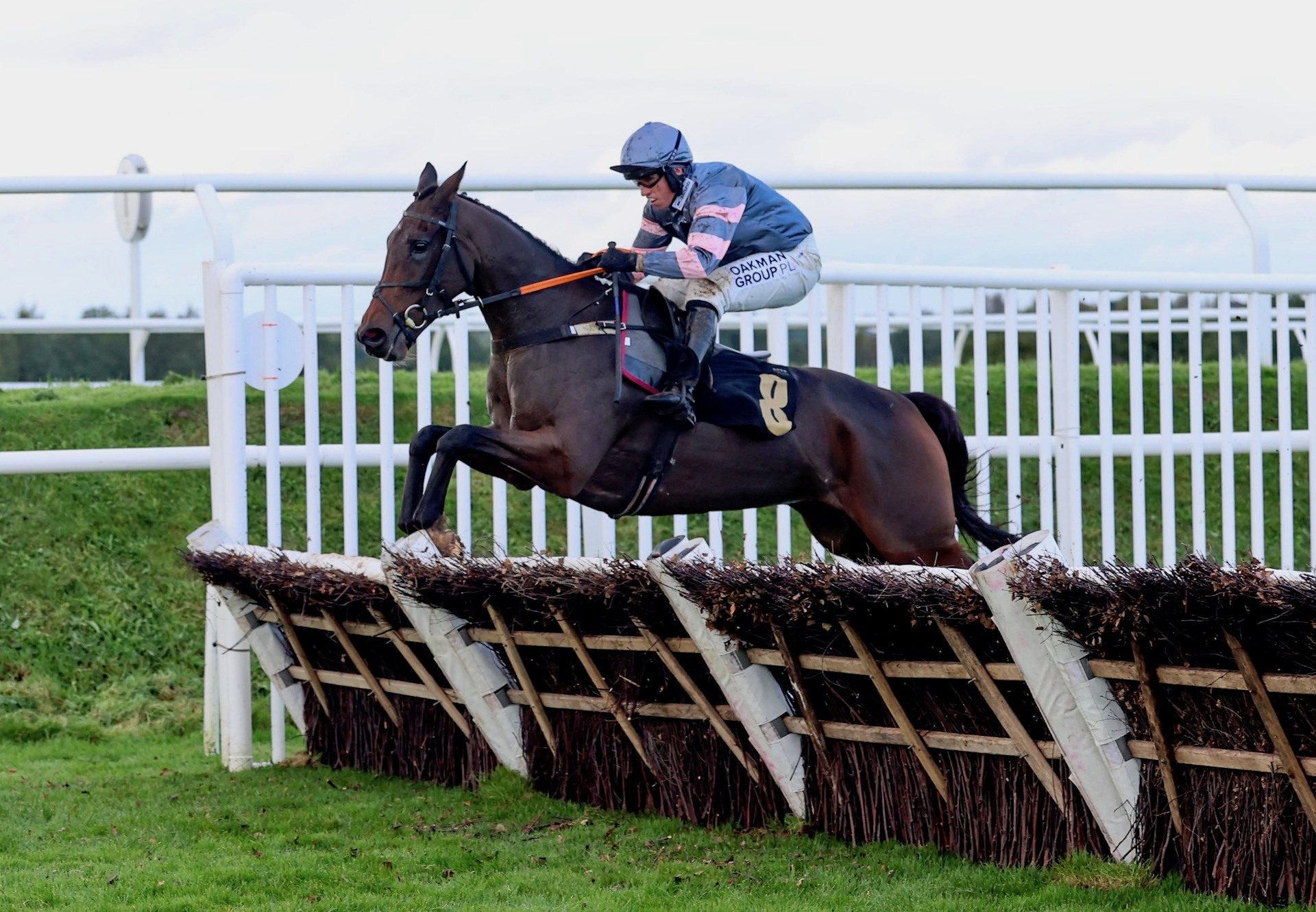 Supremely West (Westerner) Wins The Novices Hurdle At Carlisle