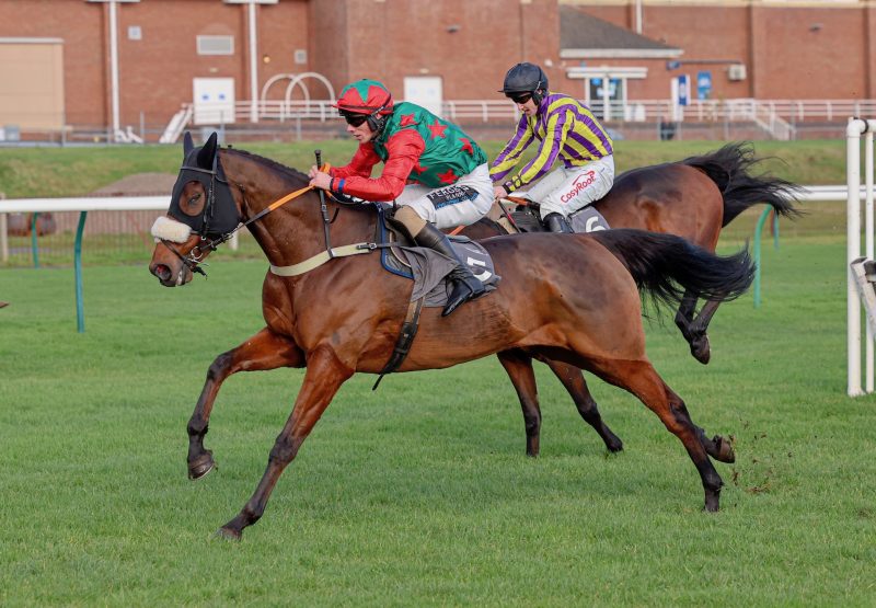 Fortescue Wood (Westerner) Wins The Novices Hurdle At Ayr