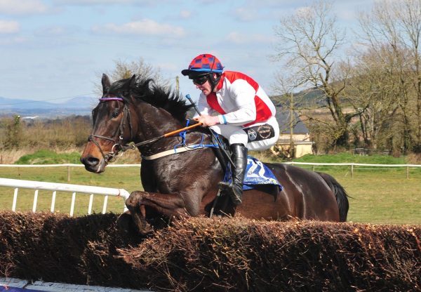 Look To The West (Westerner) Wins The 4 YO Mares Maiden At Dromahane