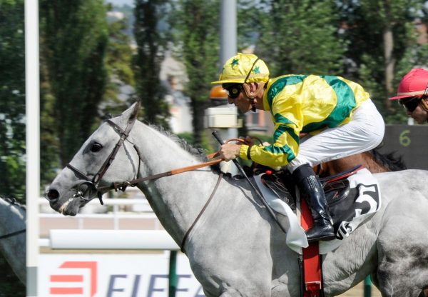 Masters Spirit (Mastercraftsman) winning the Listed Prix Hubert Baguenault de Puchesse at Vichy