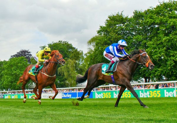 Mystery Power (No Nay Never) wins the Gr.2 Superlative Stakes at Newmarket