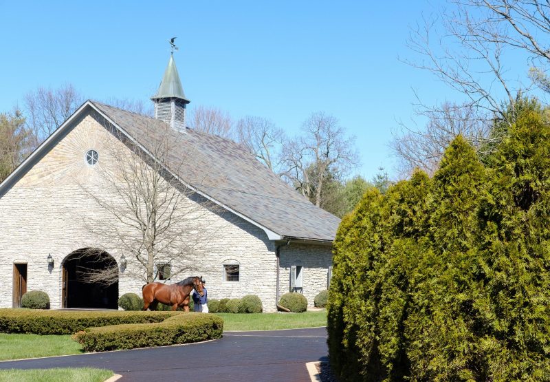 Practical Joke at the stables