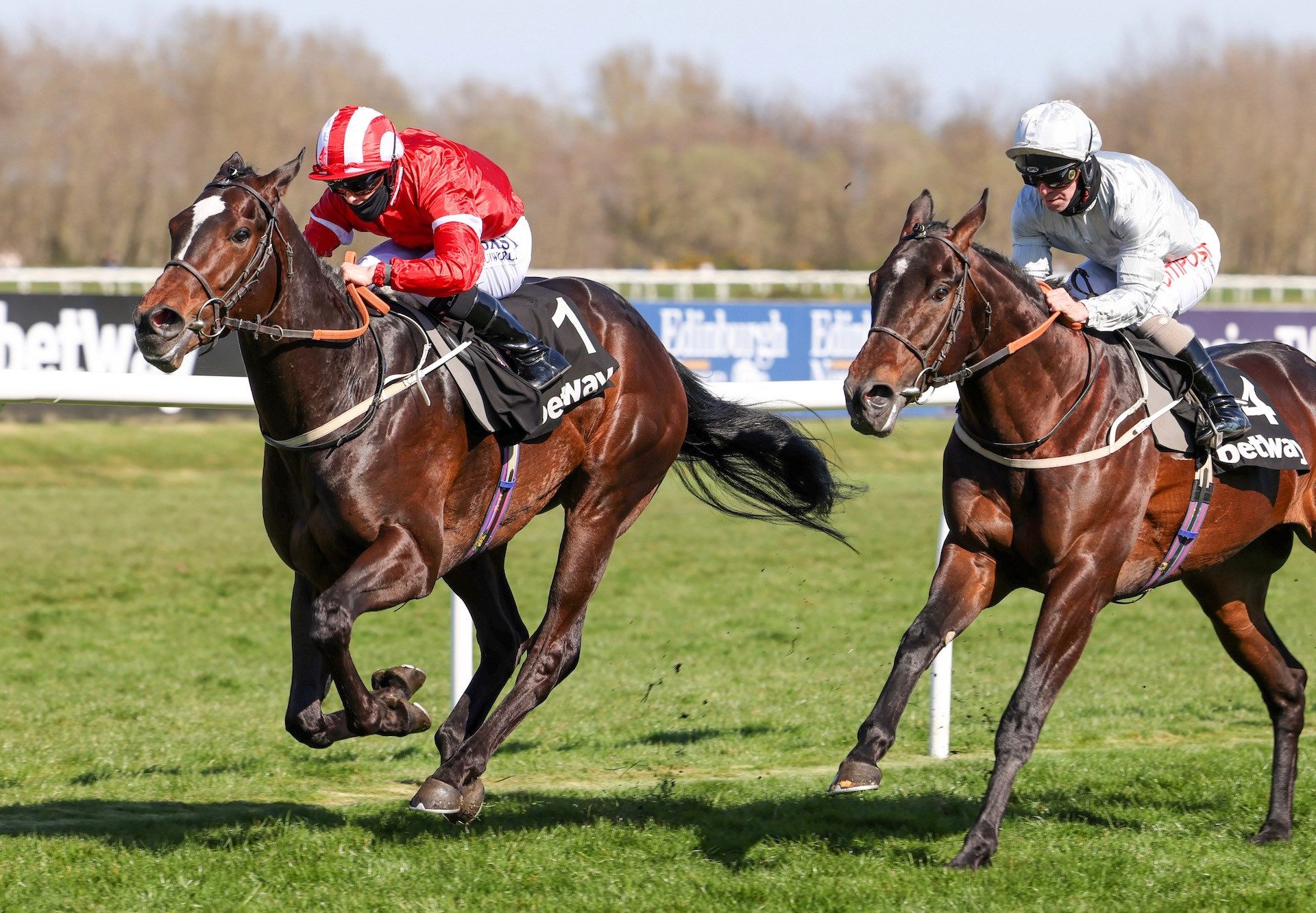 Naamoos (Wootton Bassett) Wins The Royal Mile Handicap At Musselburgh