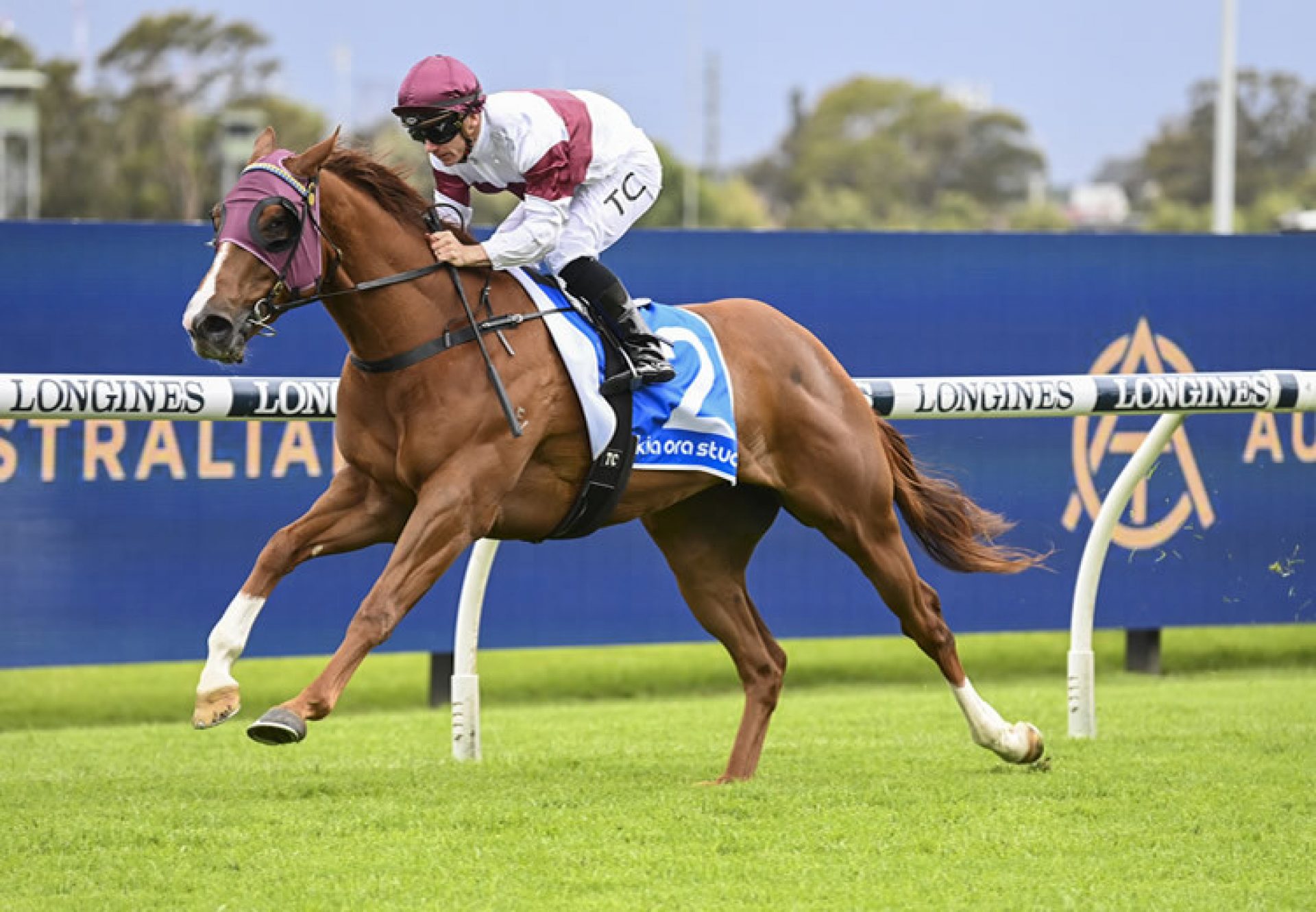 High Blue Sea (Merchant Navy) winning at Rosehill