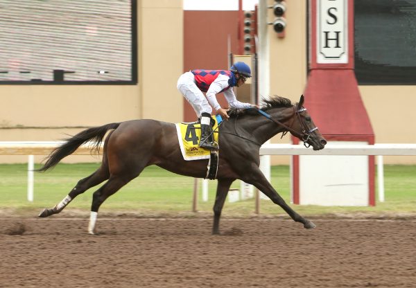 Envoutante (Uncle Mo) Gr.3 Remington Park Oaks