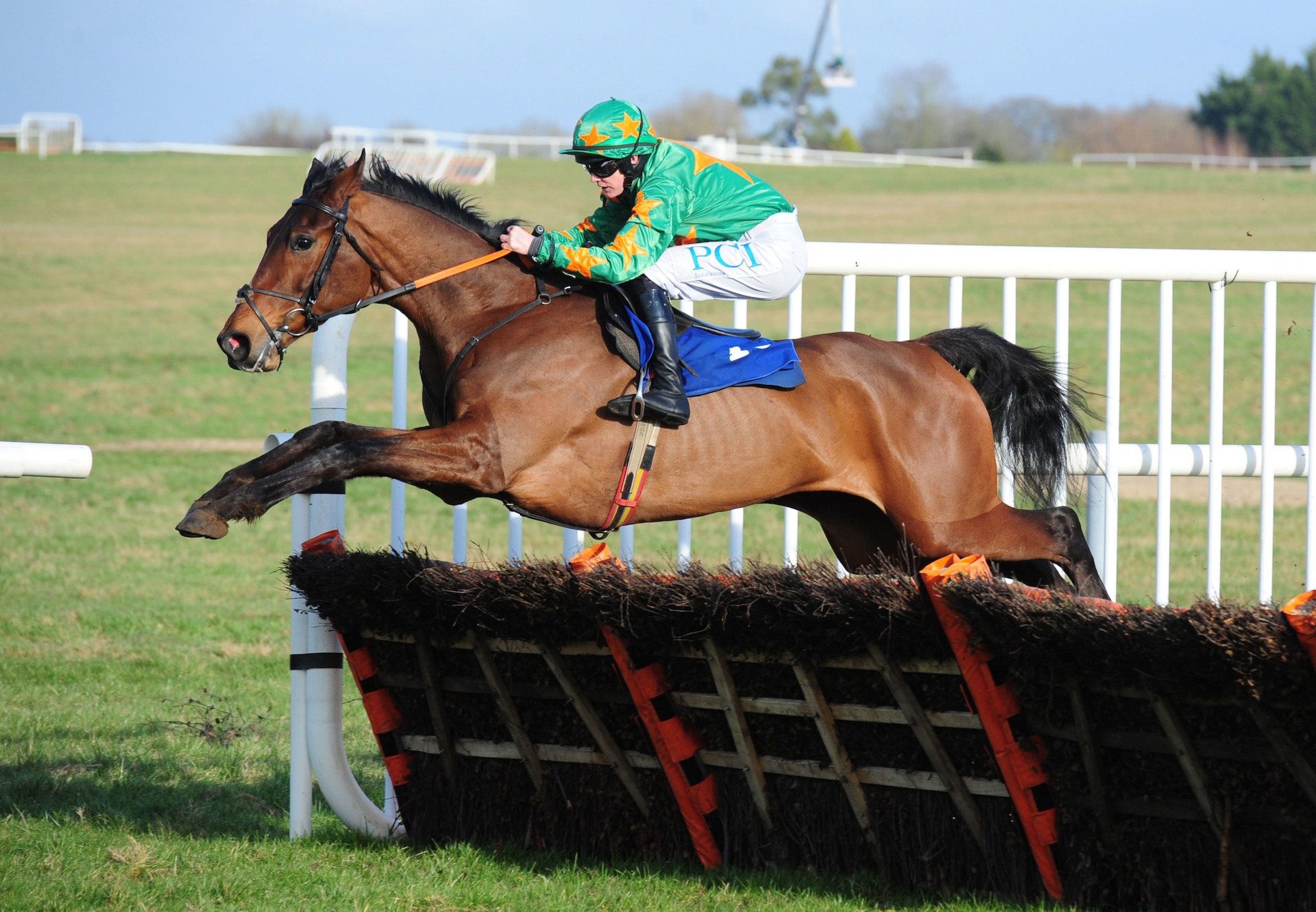 Whatsnotoknow Wins His Maiden Hurdle At Thurles