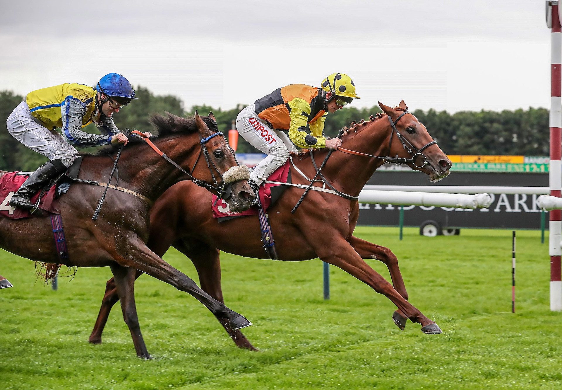 Grenadier Guard Becomes The Latest Winner By Australia