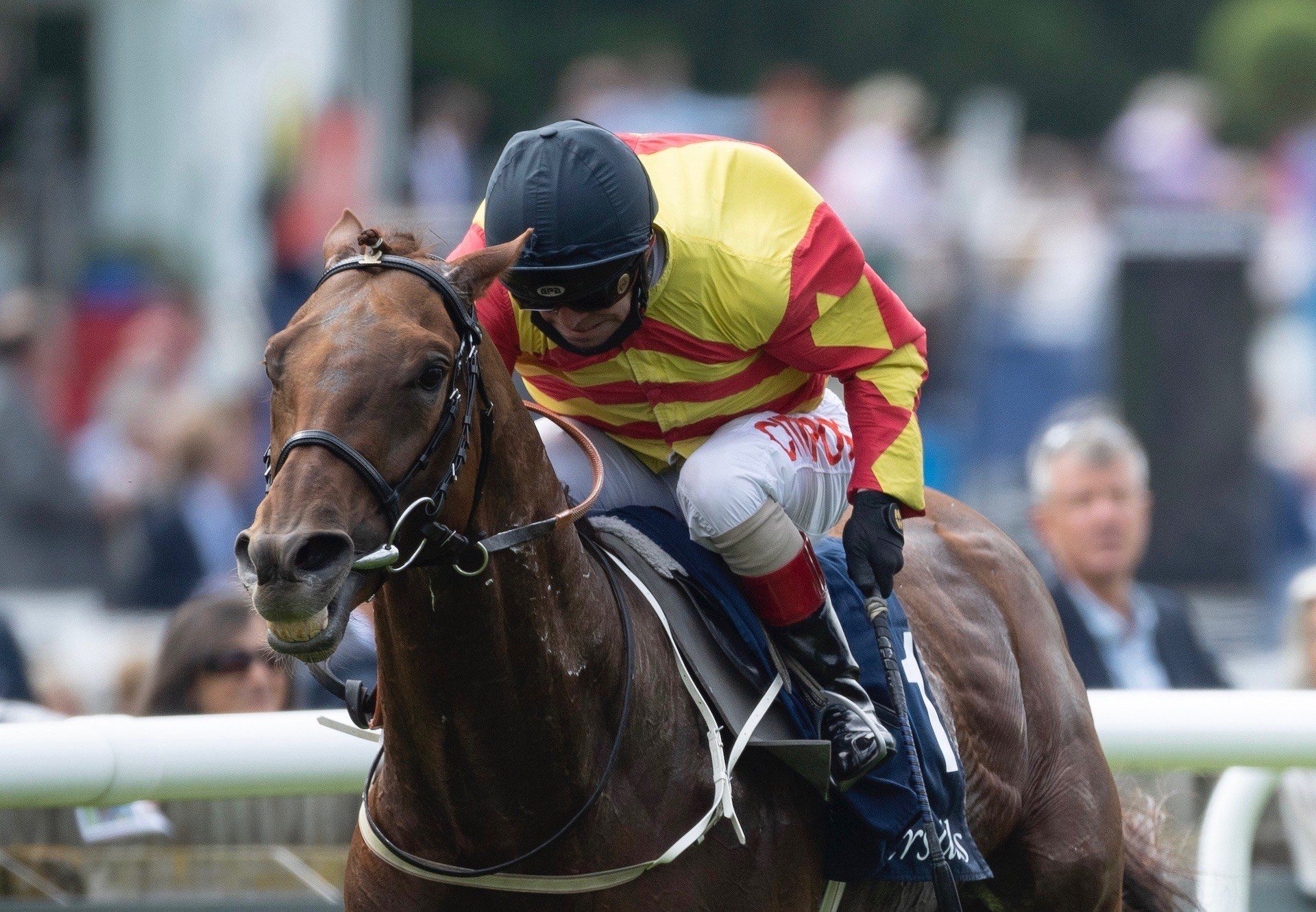 Sir Ron Priestley (Australia) Wins The Group 2 Princess Of Wales’s Tattersalls Stakes at Newmarket