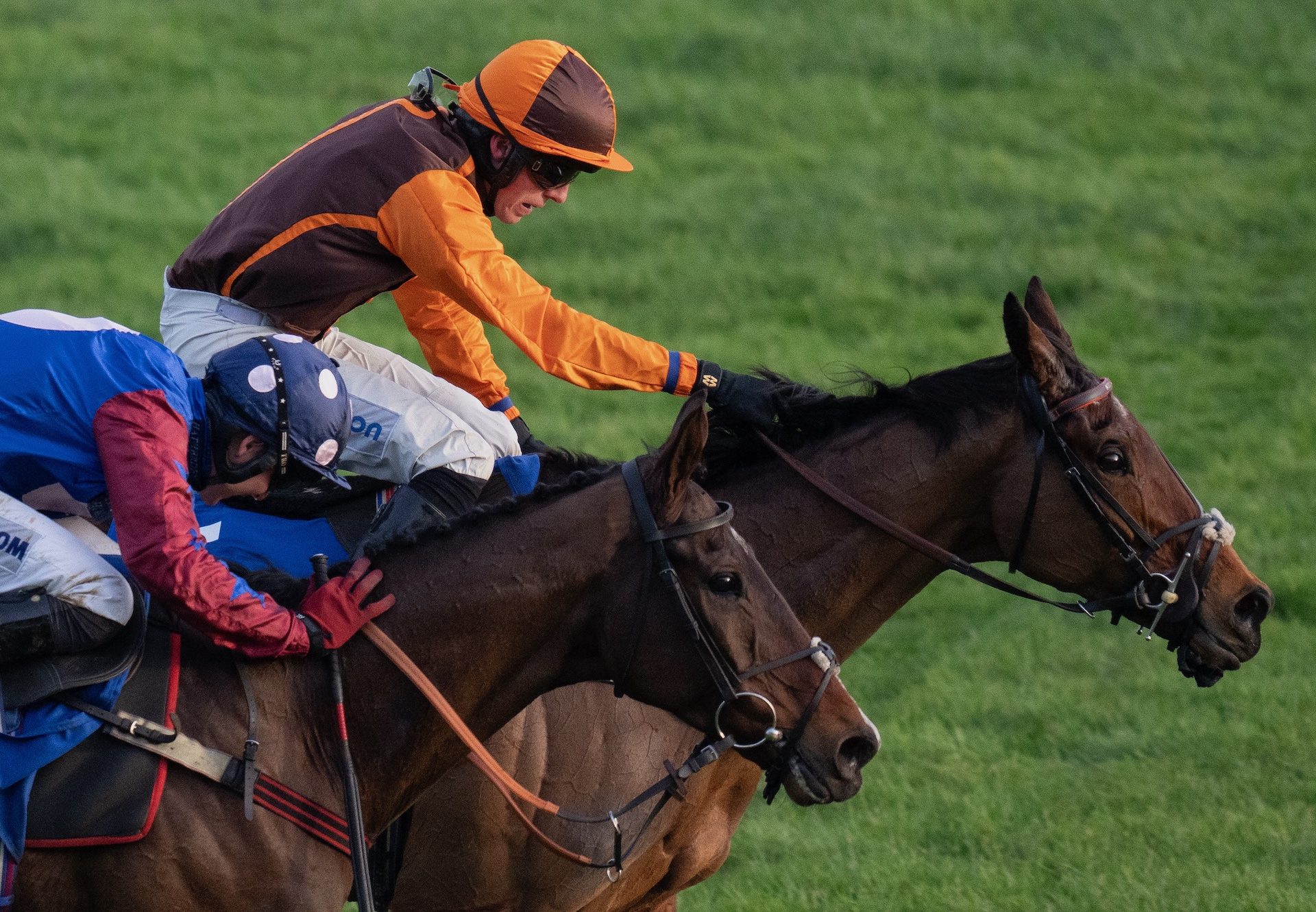 Noble Yeats (Yeats) Wins The Grade 2 Cleeve Hurdle at Cheltenham