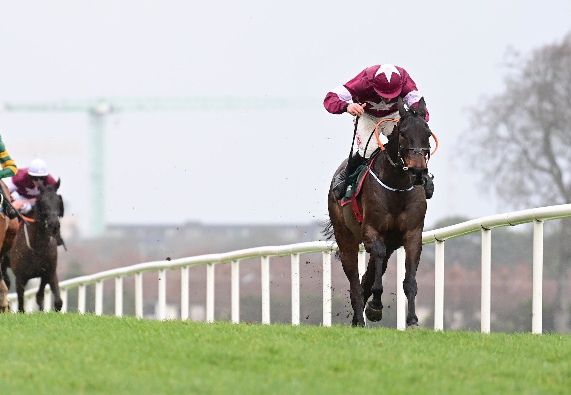 Conflated (Yeats) Wins The Grade 1 Irish Gold Cup at Leopardstown