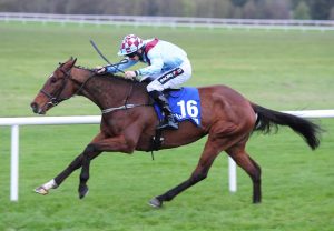 Falcon Eight Becomes The Latest By Winner By Galileo