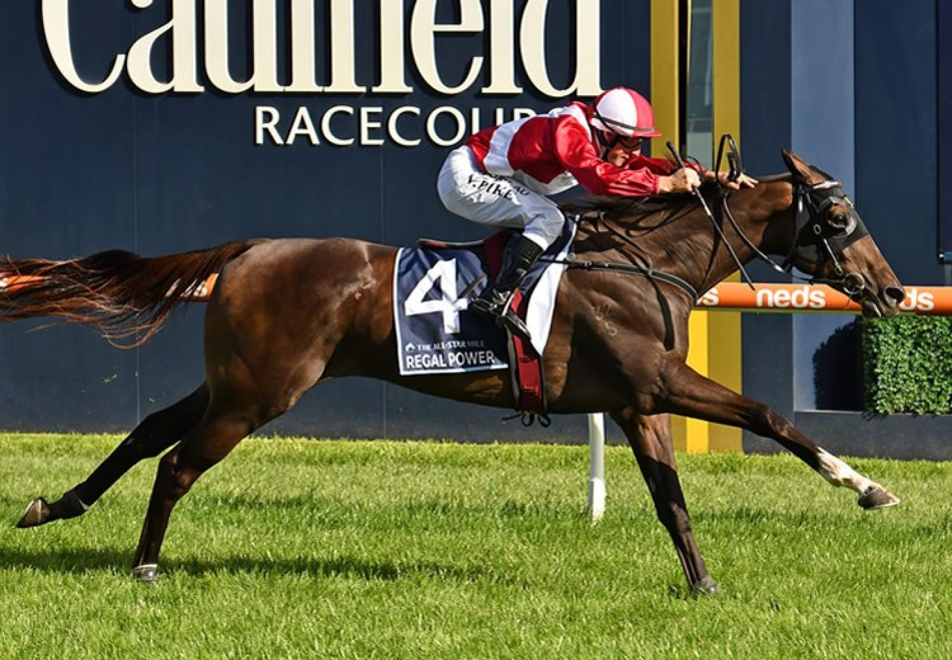 Regal Power (Pierro) winning the $5 Million MRC All Star Mile